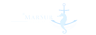 Marine Survey Services Mexico