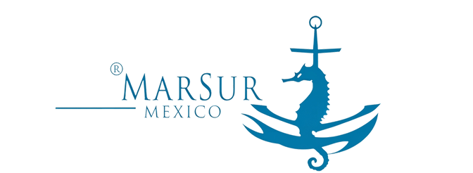 MARSUR